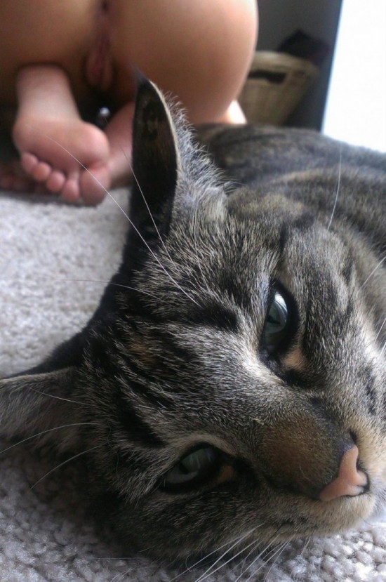 ������� ������� ���������� �����